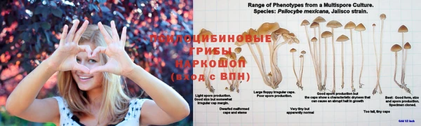прущая мука Алексин