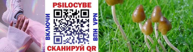 сколько стоит  Березники  Галлюциногенные грибы MAGIC MUSHROOMS 