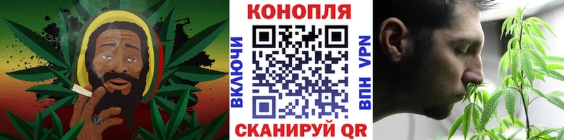 Каннабис сатива Березники